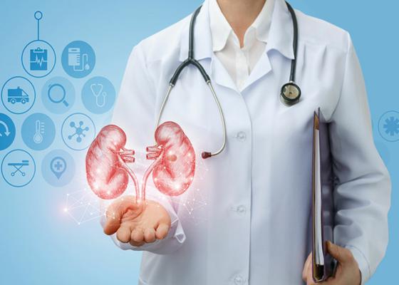 nephrology_IMG1_1.jpg